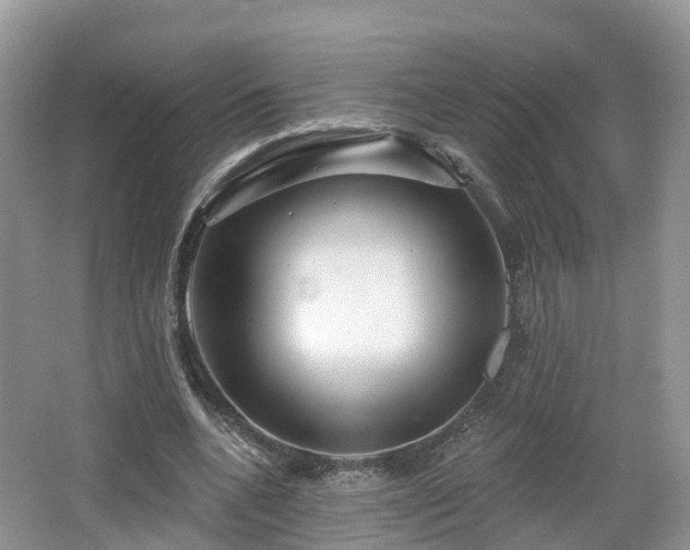 X0000064720536200602131227