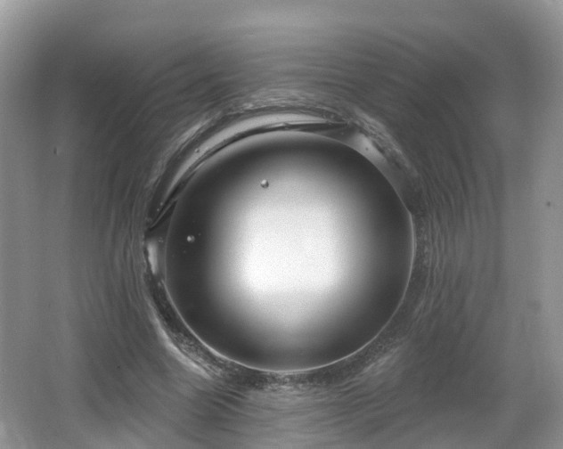 X0000064720538200602131227