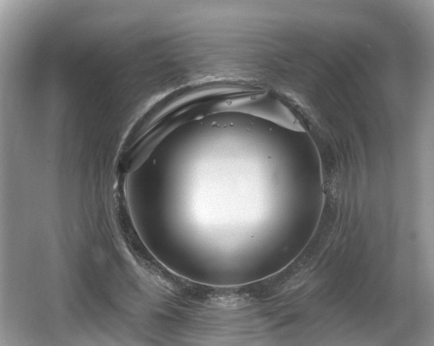 X0000064720540200602131227