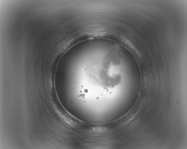 X0000064720541200602131227