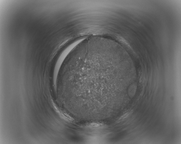 X0000064720542200602131227