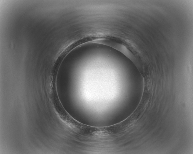 X0000064720544200602131227