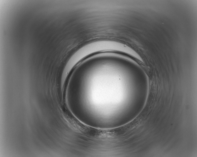 X0000064720550200602131227