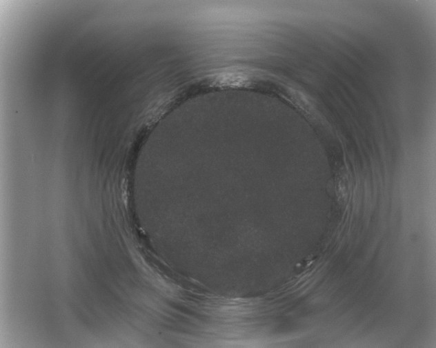 X0000064720551200602131227