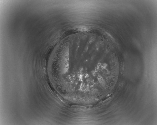 X0000064720553200602131227