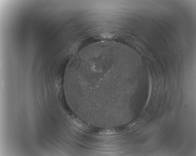 X0000064720559200602131227