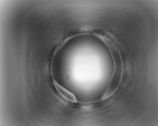 X0000064720560200602131227