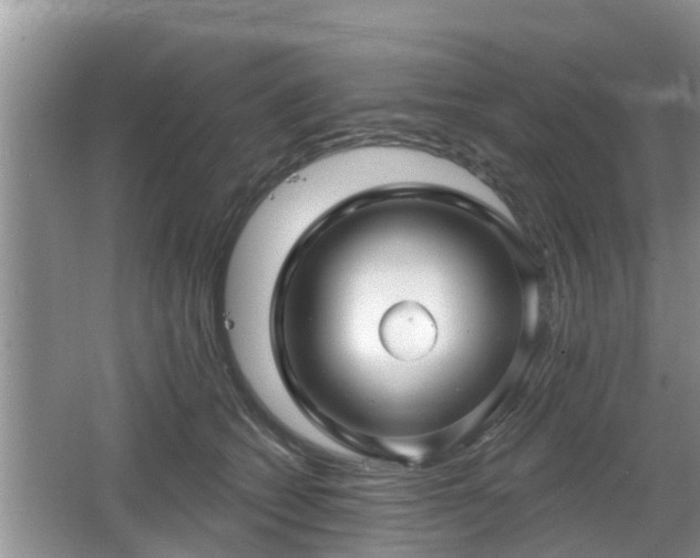 X0000064720562200602131227