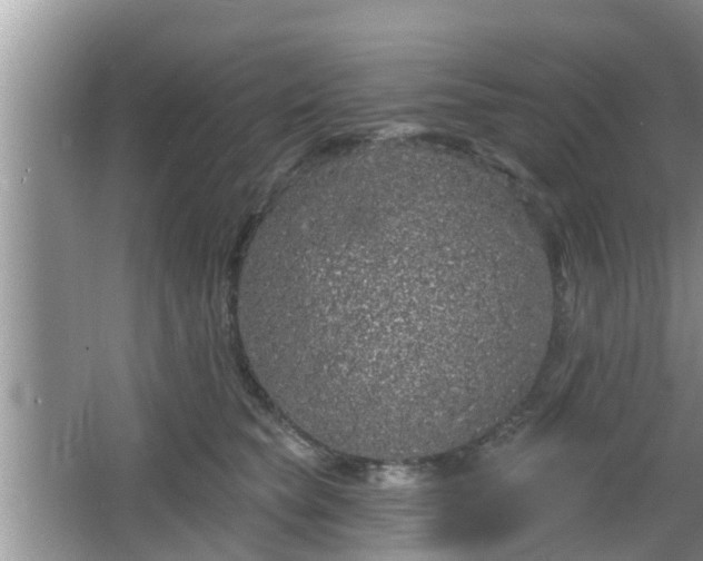 X0000064720565200602131227