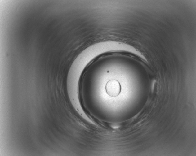 X0000064720566200602131227