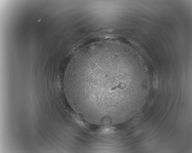 X0000064720569200602131227