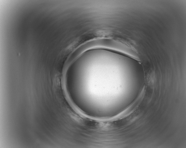 X0000064720570200602131227