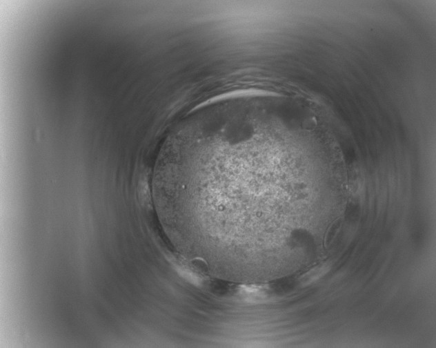 X0000064720573200602131227