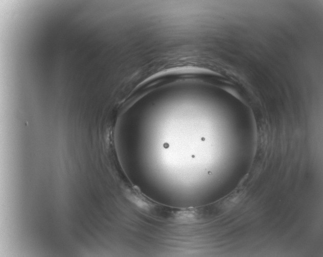 X0000064720574200602131227