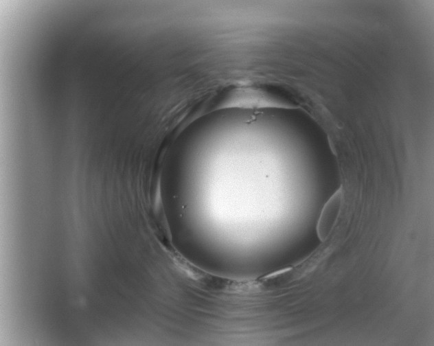 X0000064720576200602131227