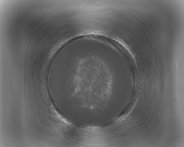 X0000064720577200602131227