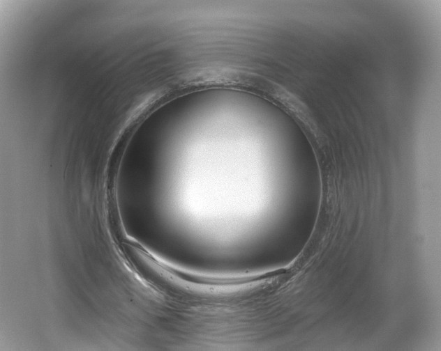 X0000064720578200602131227