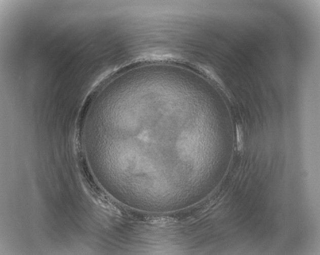 X0000064720579200602131226