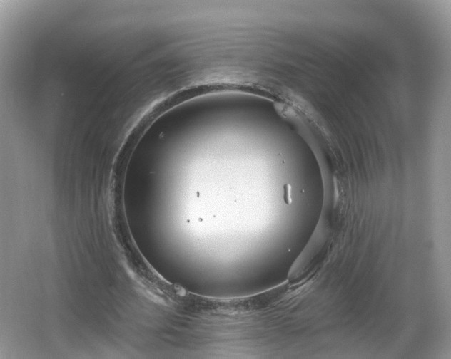 X0000064720580200602131226