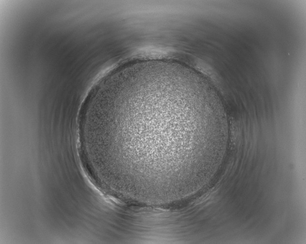 X0000064720582200602131226