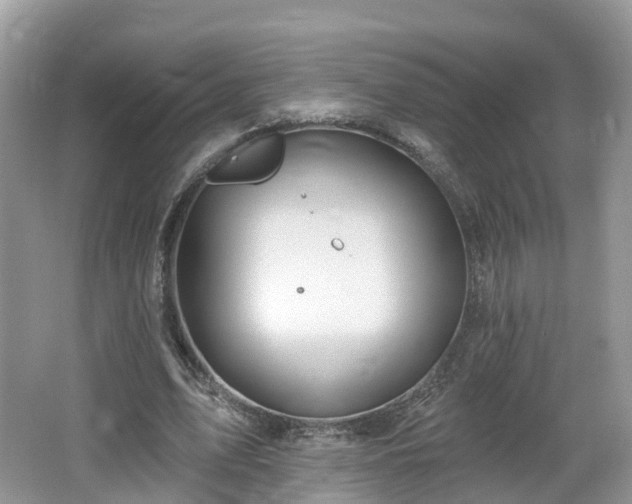 X0000064720583200602131226