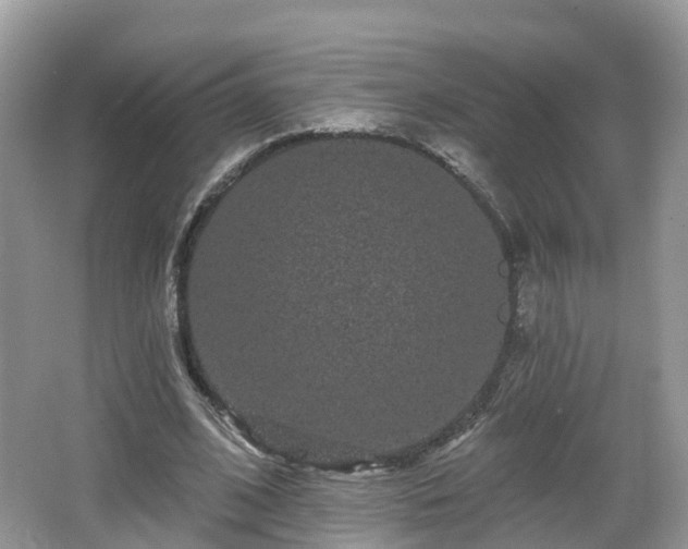 X0000064720584200602131226