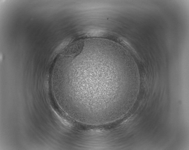 X0000064720586200602131226