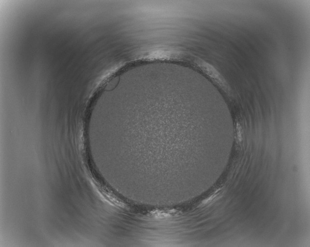 X0000064720588200602131226