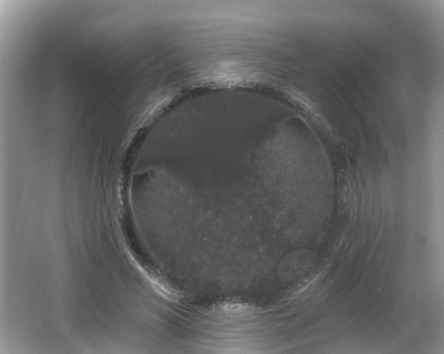 X0000064720590200602131226