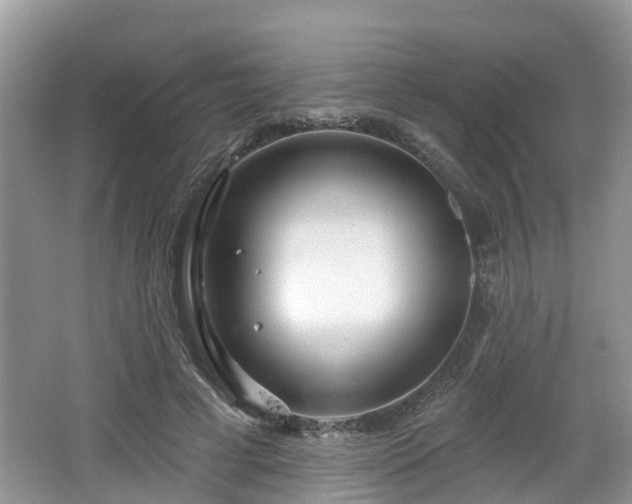 X0000064720593200602131226