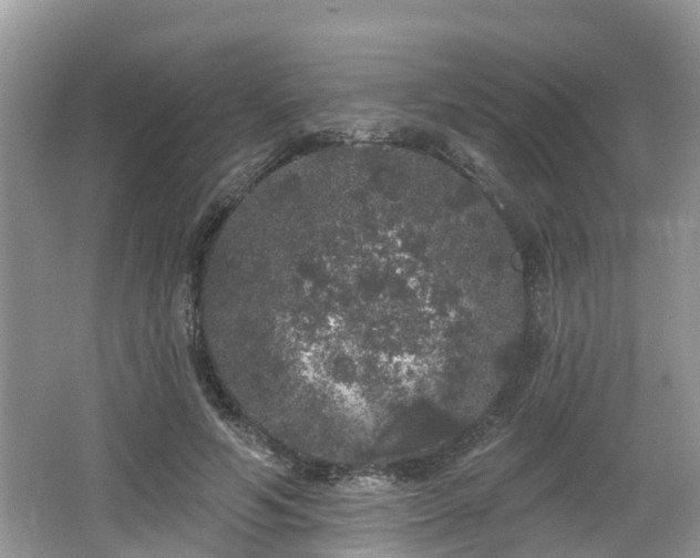 X0000064720594200602131226