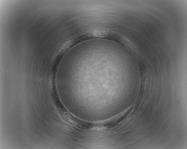 X0000064720595200602131226