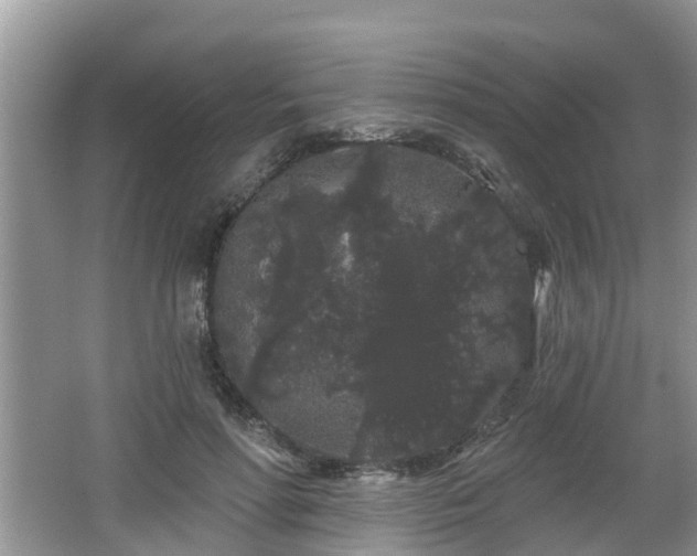 X0000064720598200602131226