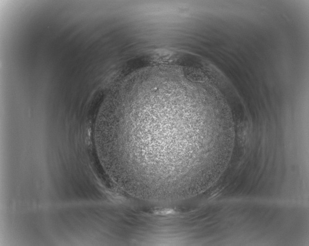 X0000064720602200602131226