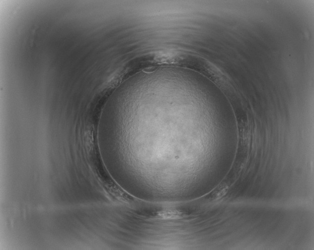 X0000064720603200602131226