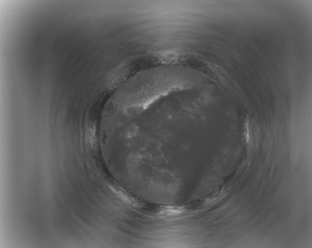 X0000064720610200602131226