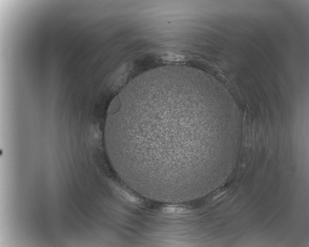 X0000064720614200602131226