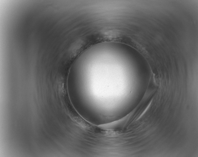 X0000064720615200602131226