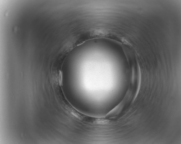 X0000064720617200602131226