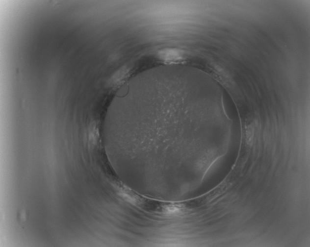 X0000064720618200602131226