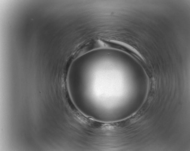 X0000064720620200602131226