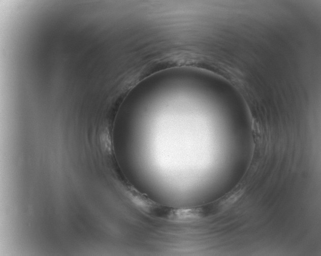 X0000064720622200602131226