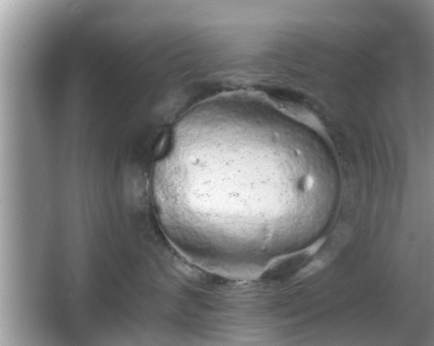 X0000064720624200602131226