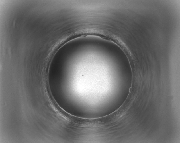 X0000064720625200602131225