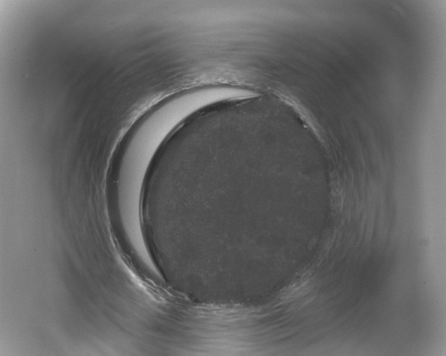 X0000064720626200602131225