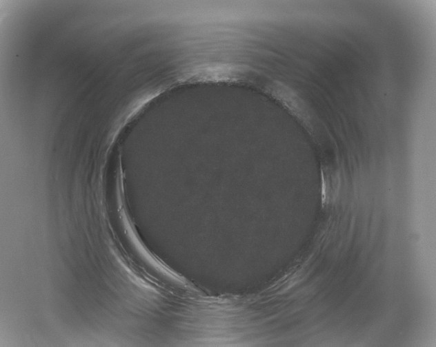 X0000064720627200602131225