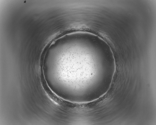 X0000064720630200602131225