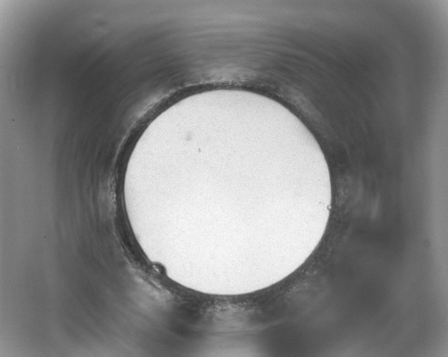 X0000064720632200602131225