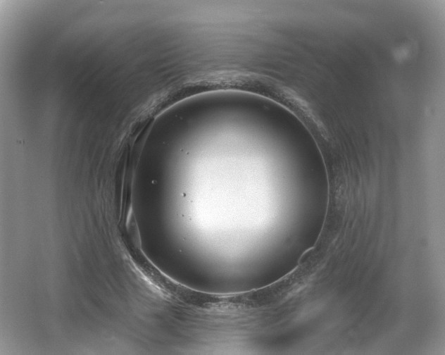 X0000064720633200602131225