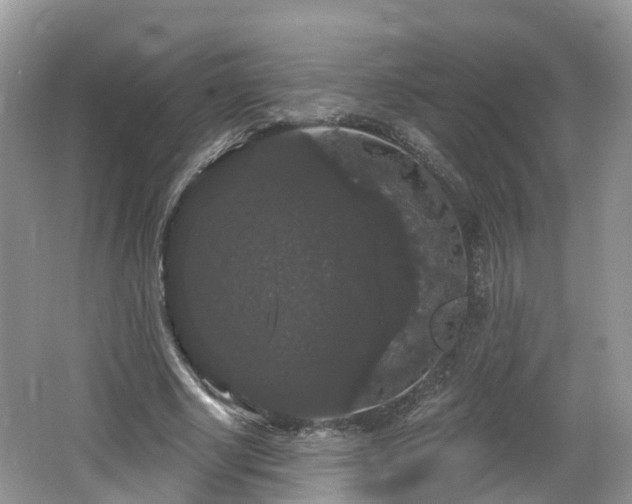 X0000064720634200602131225